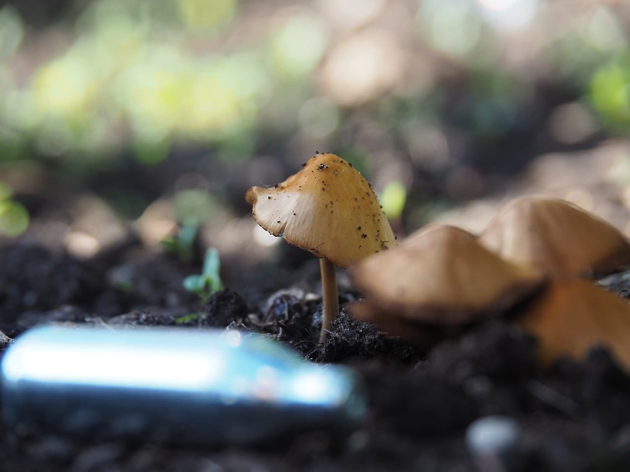 cannister nitroso nantu à a terra